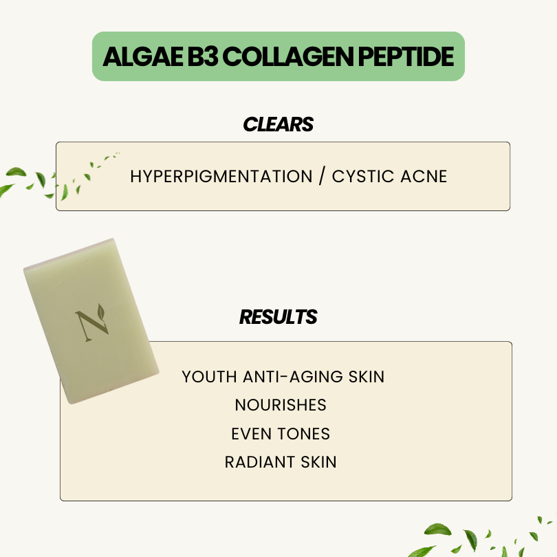 ALGAE B3 COLLAGEN PEPTIDE 